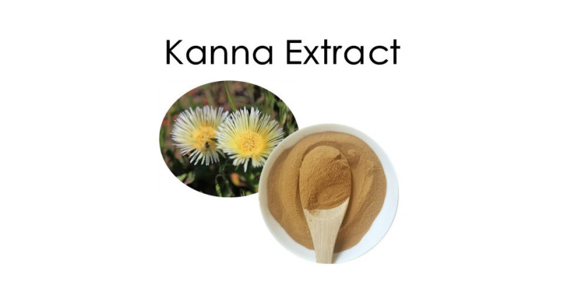 Канна Африканська для покращення настрою та зниження тривожності