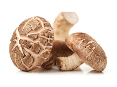 Гриби шиітаке, рейші, чага: порівняння властивостей і користі для здоров’я