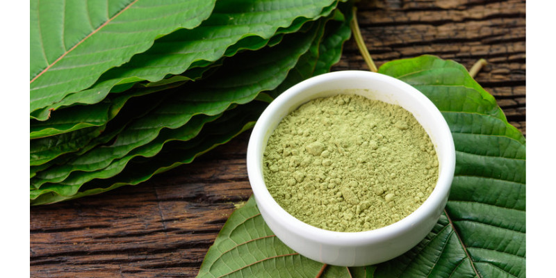 Як відрізнити натуральні психоактивні рослини від синтетичних аналогів