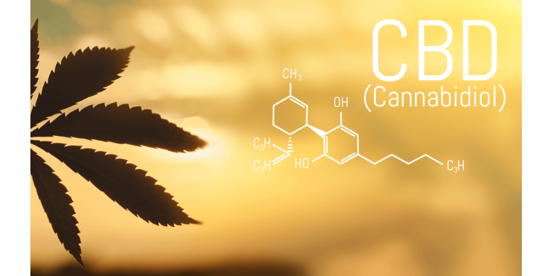 What is CBD isolate and how is it different from full spectrum CBD?