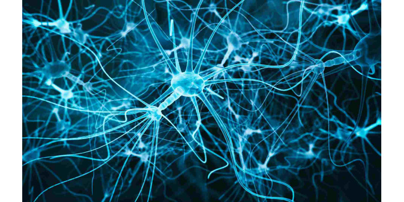 CBGA - what is it and why is it called the "mother molecule" of cannabinoids?