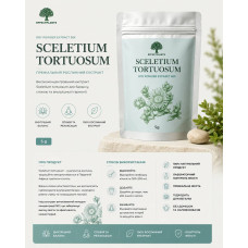 Sceletium Tortuosum – 50х Extract