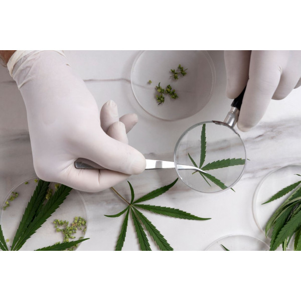 Натуральна олія з фітокомплексом для підтримки балансу | Без ГМО