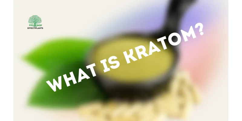 Що таке Кратом?