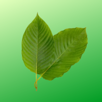 Кратом X | Альтернатива кратому на ваш вибір