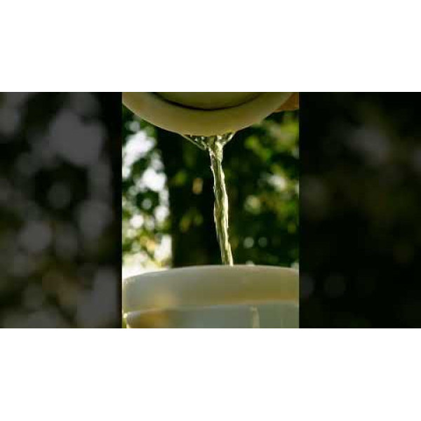 Заварюємо Пуер  Ритуал для душі! #енергія #чай #пуер