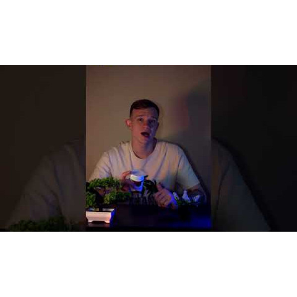 Секрет Молодості - Гриб Рейші !