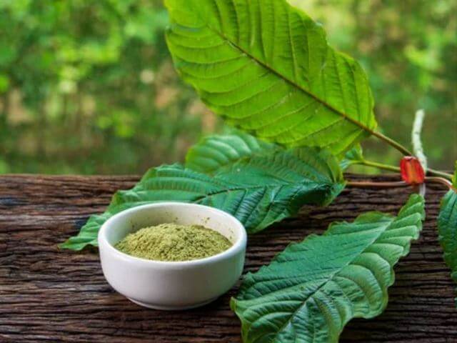 Купити кратом червоний В Україні 