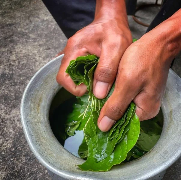 Листя кратома перетираю в порошок
