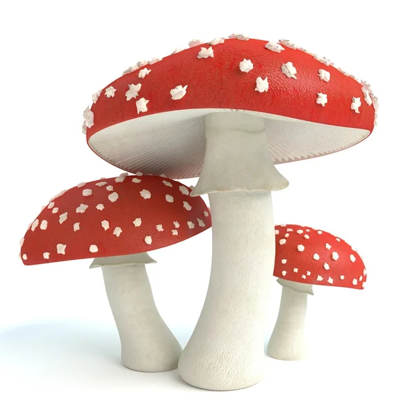 Carpathian red fly agaric