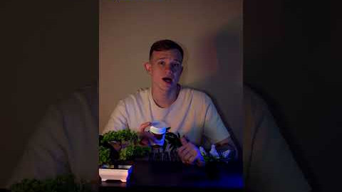 Секрет Молодості - Гриб Рейші !