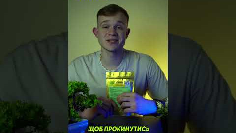 Гуарана - Природний Енергетик #енергія #мікродозінг